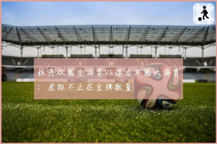 林丹双圈全满贯vs谌龙单圈大满贯:差距不止在金牌数量